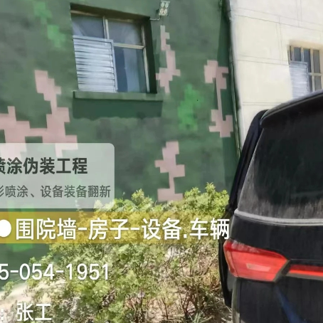 揭阳数码迷彩漆施工